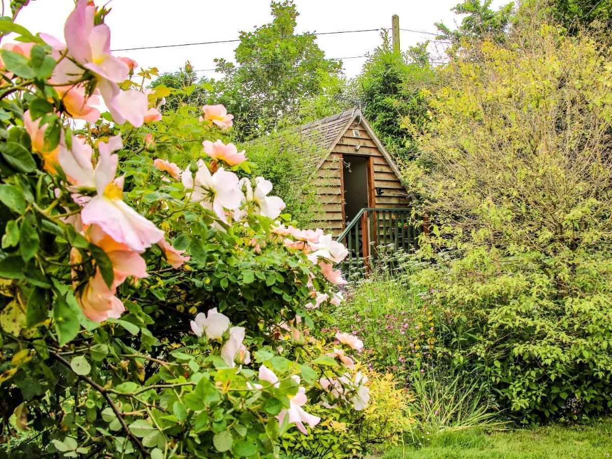 Milford Tree Tops Craven Arms Exterior photo